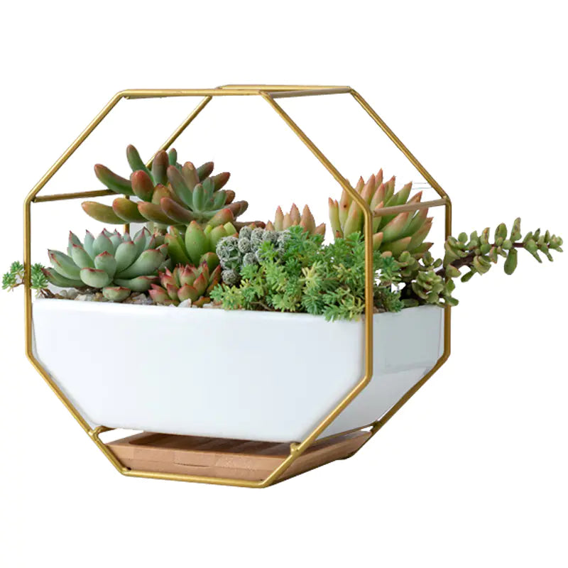 Nordic Minimalist Geometric Wrought Iron Flower Pot Set